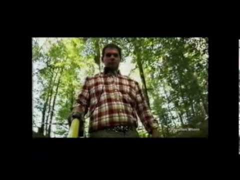 Chiemgau-Impakt auf BR (1/3)