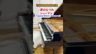 シューマン 夢のもつれ【軽やかなピアノ名曲】#クラシック #ピアノ#shorts #ピアニスト 近藤由貴/Schumann: Traumes Wirren Op.12-7