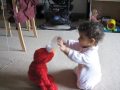 Anjali Elmo Her 1st Birthday Present 10 March 2009