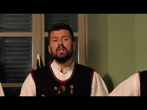 Nisan zna - Branimir Bubica i klapa Sebenico (Live)