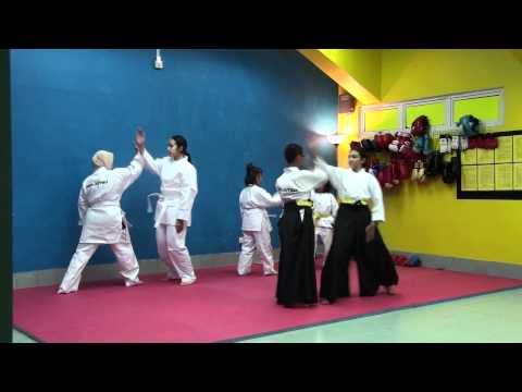 Stealth Attitude Unlimited 1164