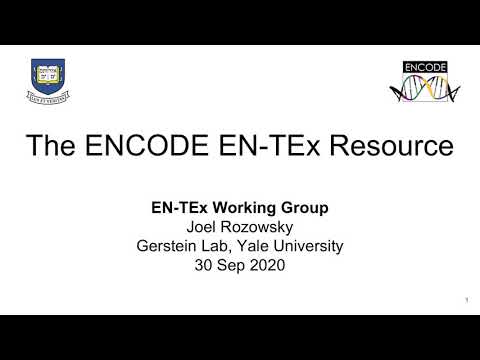 Flash Talks - September 30, 2020