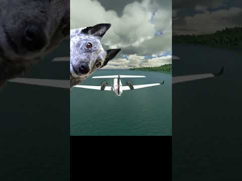 Flying Low & Landing FAST (#Shorts) Real Pilot Plays Microsoft Flight Simulator 2020