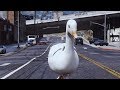 Big Goose 12