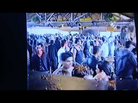 Haras del lago 95 coyote.