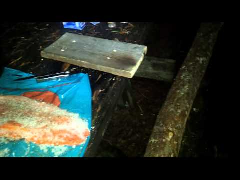 Sisälmysten autiotuvalla kullaa  tehdään alustaa kirjolohelle