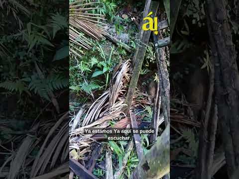 Salto Pacolmo: Una caída de agua de 36 metros escondida en la Sierra Maestra