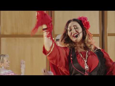 Silvy Band „Romalen“ - Live Skopje „Dom na Arm“ - 27.12.2019 (Official Video)