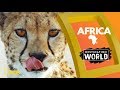 Africa Destination World