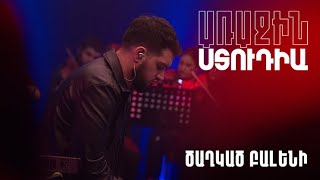 Առաջին ստուդիա․ Kami Friends. Ծաղկած բալենի