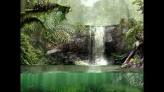 Bruce Cockburn - If a tree falls