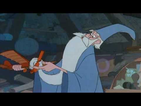 Eule lacht sicht kaputt