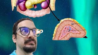 What is adrenochrome and where can it be obtained