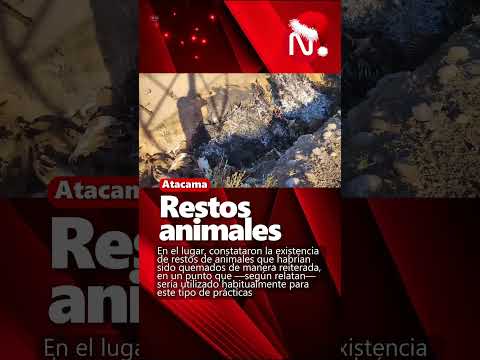 Denuncia ciudadana genera alarma en Freirina