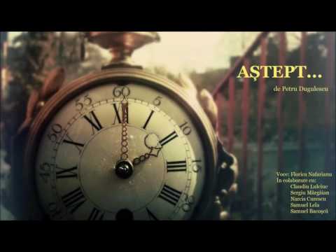 Florica Nafarianu - Aștept