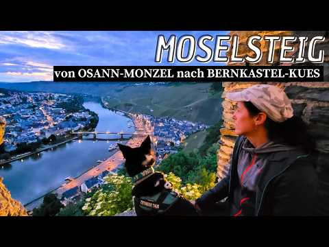 Wandern auf dem Moselsteig mit Hund und Camper | Etappe 10 | Osann Monzel - Bernkastel Kues