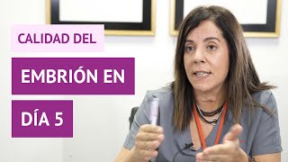 ¿Cómo se determina la calidad del embrión en día 5