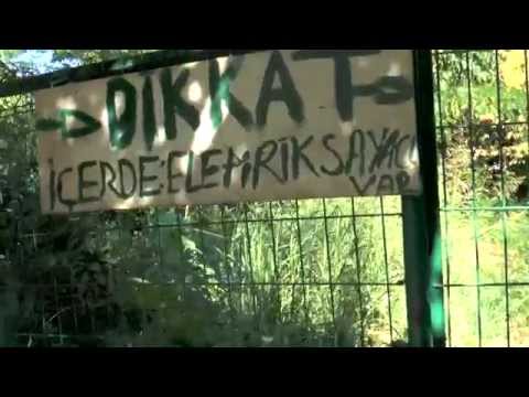 Trailer of Bugünden Sonra (2015)