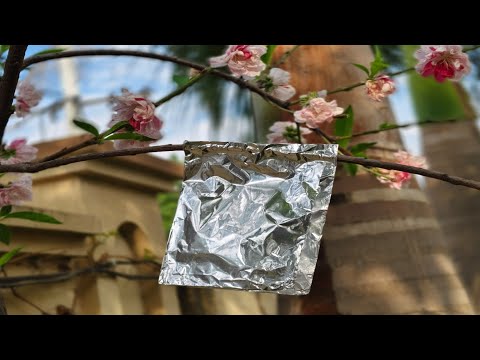 Hang the foil on a branch and you won't believe your eyes!