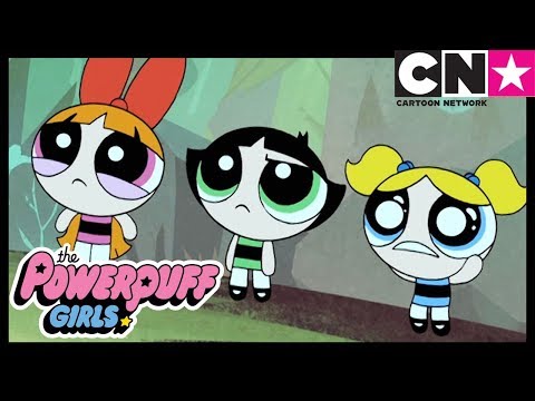 Lección | Las Chicas Superpoderosas | Cartoon Network