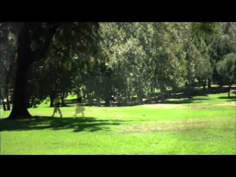 Octavian Bud - Niciodată