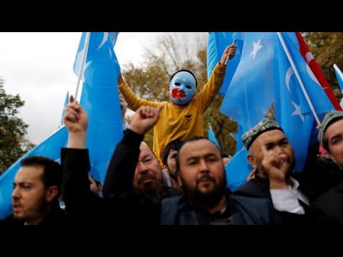 مسلمي الأويغور والروهينغيا