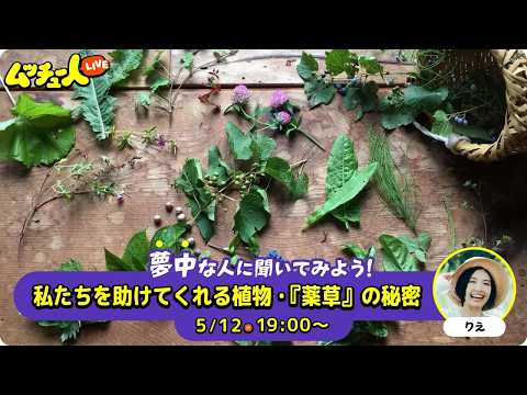 ムッチュー人LIVE｜薬草の星のりえに会いにいこう！
