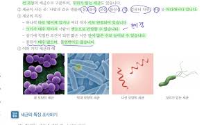 [초등과학 5-1 무료강의] 5. 다양한 생물과 우리 생활 ④ 세균에는 어떤 특징이 있을까요?