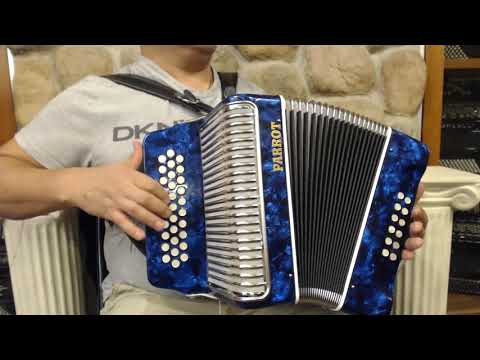 PARRFALFBE12BL - Blue Parrot Falcon Diatonic Accordion FBbEb Fa MM 31 12 $499