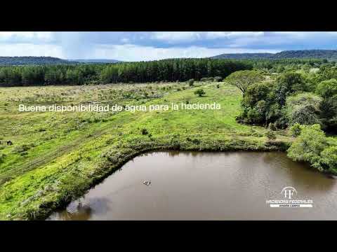 Campo "Don Pedro" – Fachinal, Misiones | 432 hectáreas con gran potencial productivo