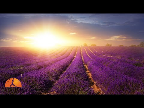 Good Morning Peace Music ➤ Destroy Negativity - Wake Up With Happy Positive Ambient Energy 432hz