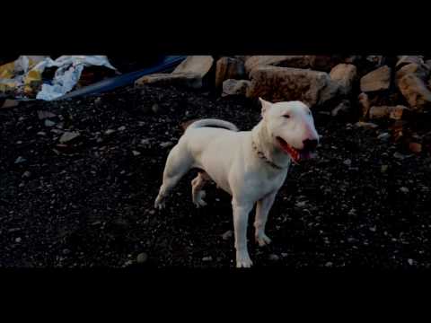 Gawngallaz - Stop That - joe budden  f'ck em all , remix  (Scottish hip hop)