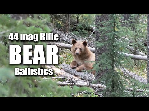 Bear Hunt! 44 mag - Rifle - Ballistics
