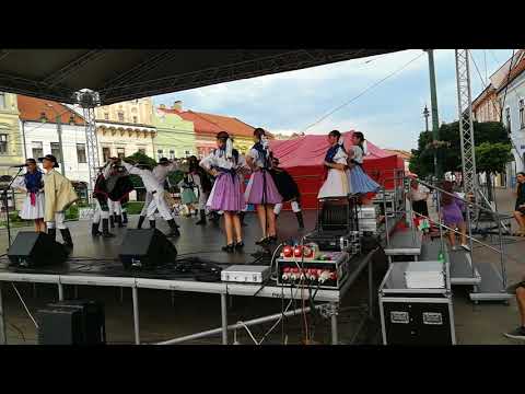 DFS Šarišanček-goral