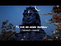Tu Door Na Hona Sambhu ️ Slowed Reverb Silver Ghost Lofi Mix