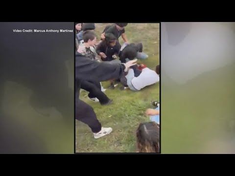 Man facing assault charges after getting into fight with high school girl at ICE protest, police say