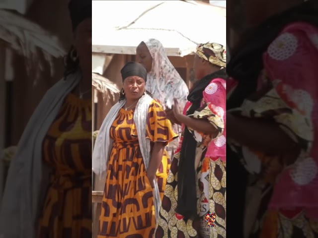 Why 118 Million People Have Been Forced to Flee Their Homes | UN Report Explained