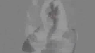 Immortal - Solarfall