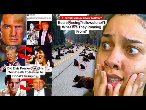 TikToks I Was NOT Mentally PREPARED For