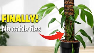 Why I'm Ditching Ugly Cable Ties for This "Tab-Style" Moss Pole