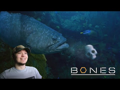 Bones S5E18 „Der Räuber im Pool“ – REAKTION