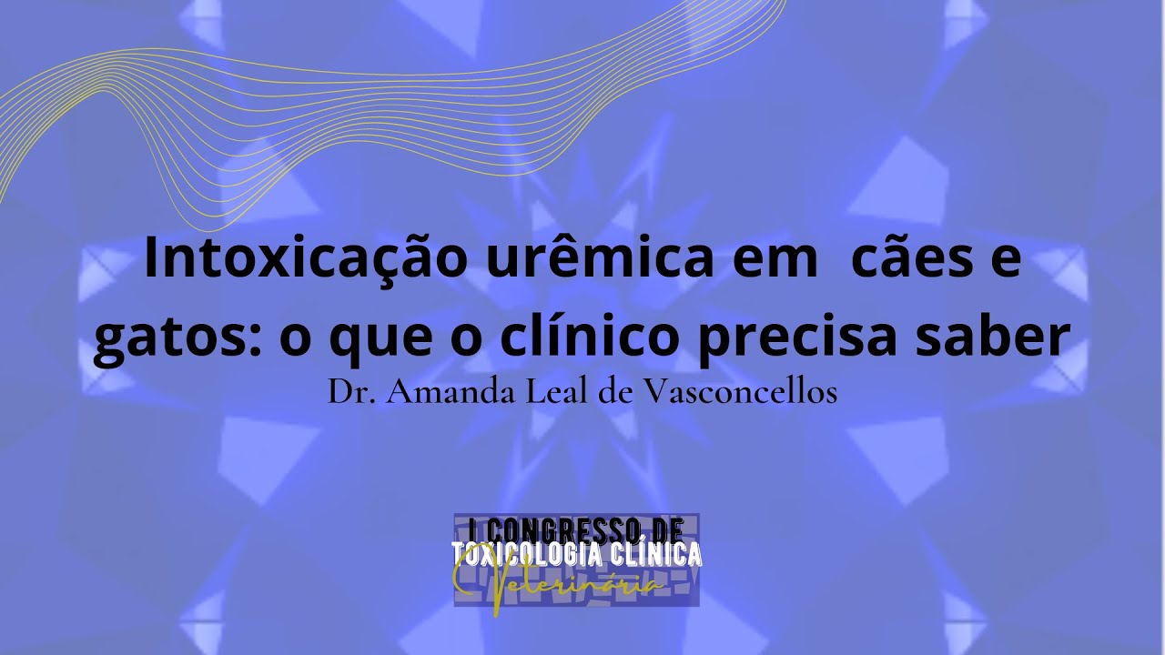 Intoxicação Urêmica em cães e gatos: o que o clínico precisa saber