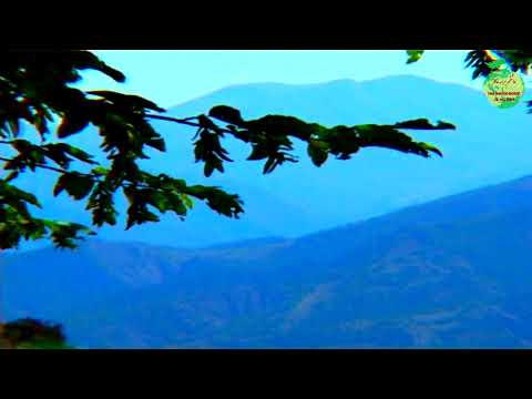 A trip to Arasbaran with Nature Sounds, East Azerbaijan, Iran