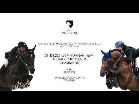 From exceptional Chacco-Blue and fastest on the circuit Oh d'Eole!