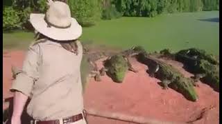 Crocodile rips off another crocodiles arm off- crazy scene