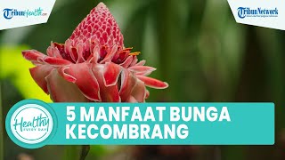 5 Manfaat Bunga Kecombrang untuk Kesehatan agar Cegah Penyakit: Hilangkan Bau Amis & Atasi Sembelit
