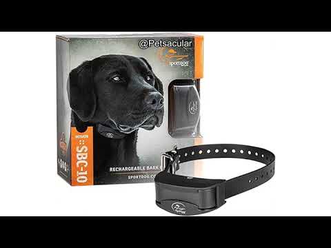 SportDOG NoBark 10 Collar Review: Is This Rechargeable Bark Collar Worth the Investment?
