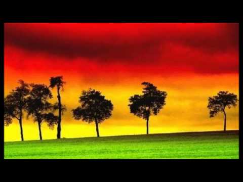 Killa Mosquito feat. Mr. Williamz - Ganja (Marcus Visionary Remix)