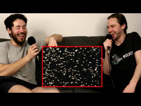 Curtis & Nathan VS 100's of Flying Insects in Apartment