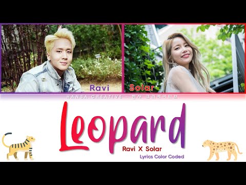 Ravi (라비) Feat. Solar (Mamamoo) - Leopard Lyrics Color Coded (Han/Rom/Eng)